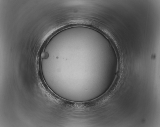 X0000115760983200911271113