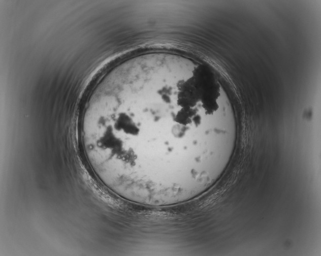 X0000115760984200911271113