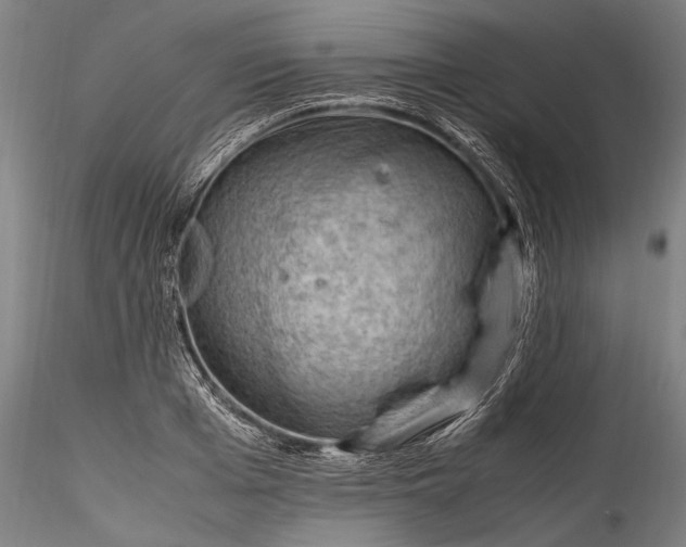 X0000115760985200911271113