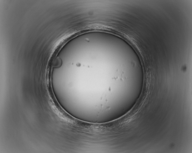 X0000115760987200911271113