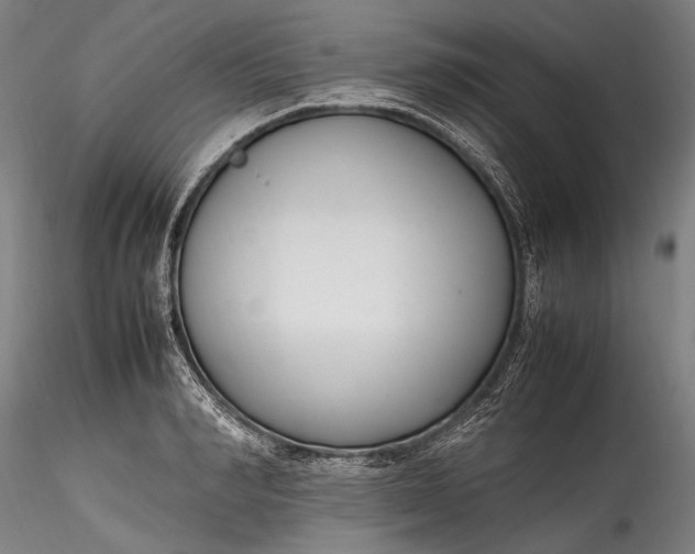 X0000115760990200911271113