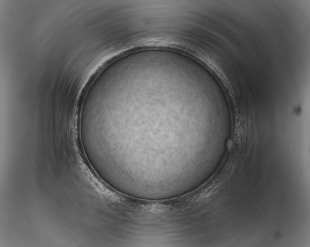 X0000115760992200911271113