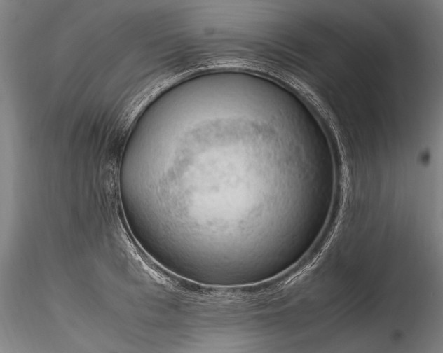 X0000115760993200911271113