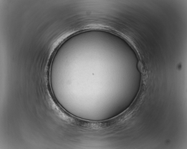 X0000115760995200911271113