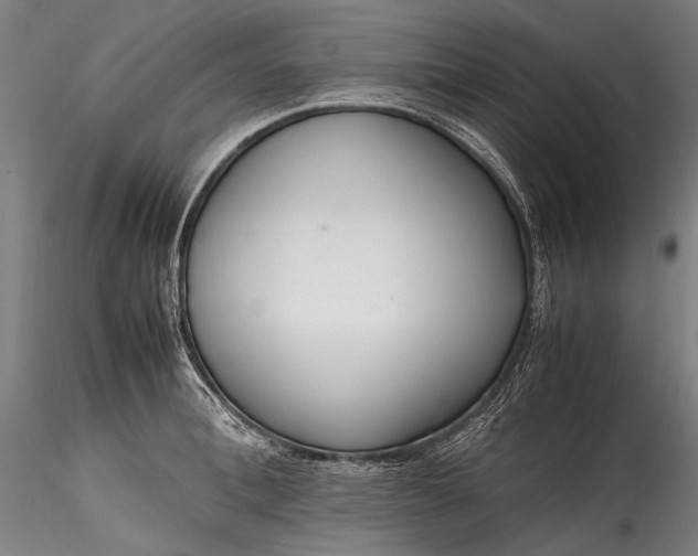 X0000115760996200911271113