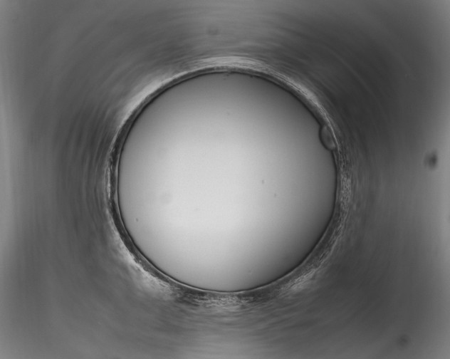 X0000115760999200911271112