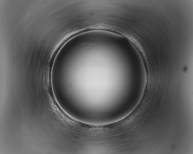 X0000115761000200911271112