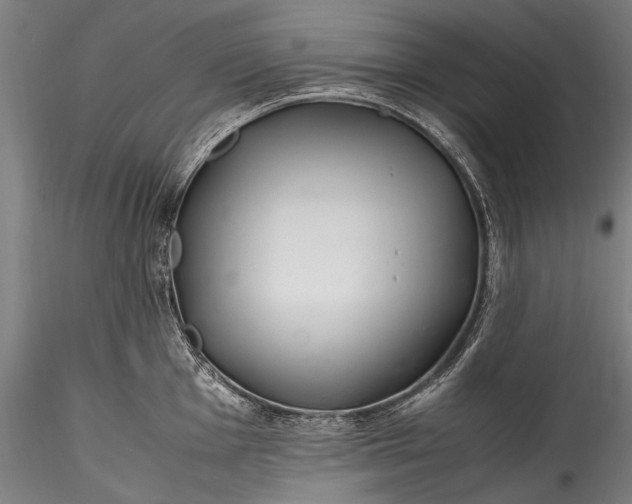 X0000115761001200911271112