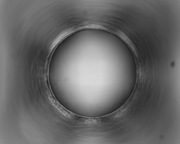 X0000115761002200911271112