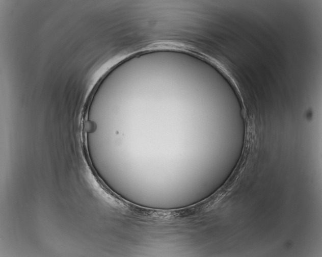 X0000115761003200911271112