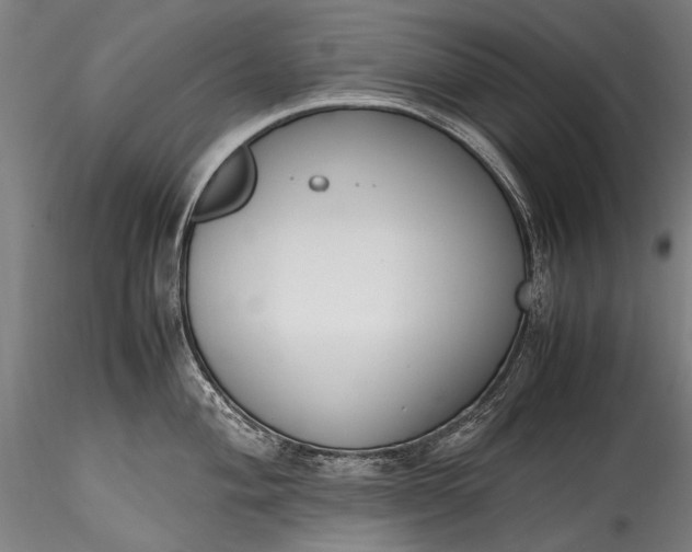 X0000115761004200911271112