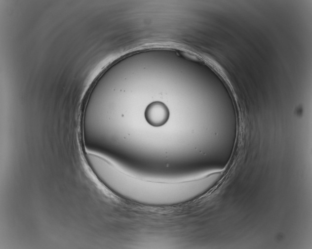 X0000115761005200911271112