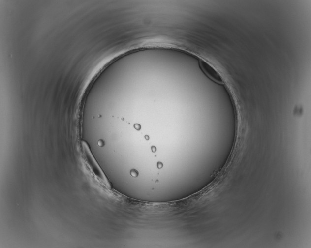 X0000115761008200911271112