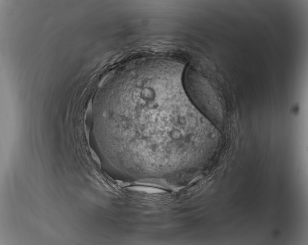 X0000115761009200911271112