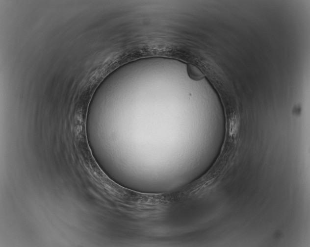 X0000115761011200911271112