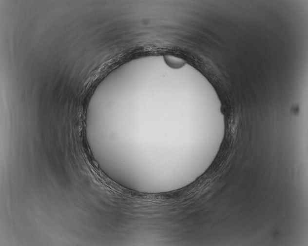 X0000115761012200911271112