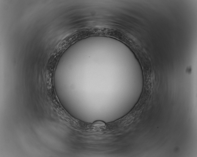 X0000115761013200911271112