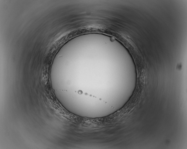 X0000115761015200911271112