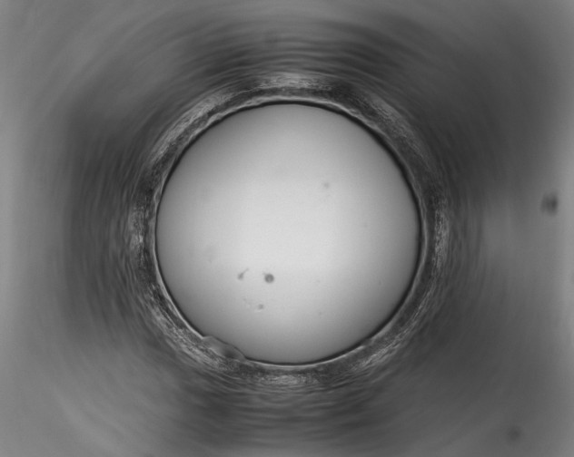 X0000115761017200911271112