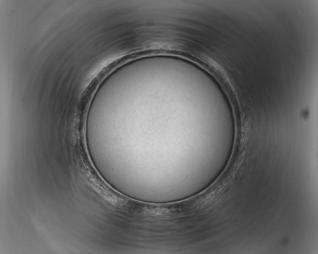 X0000115761019200911271112