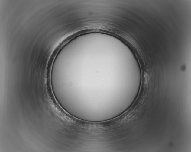 X0000115761020200911271112