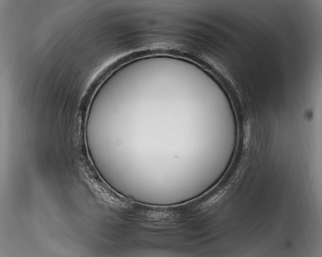 X0000115761021200911271112