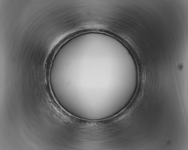 X0000115761022200911271112