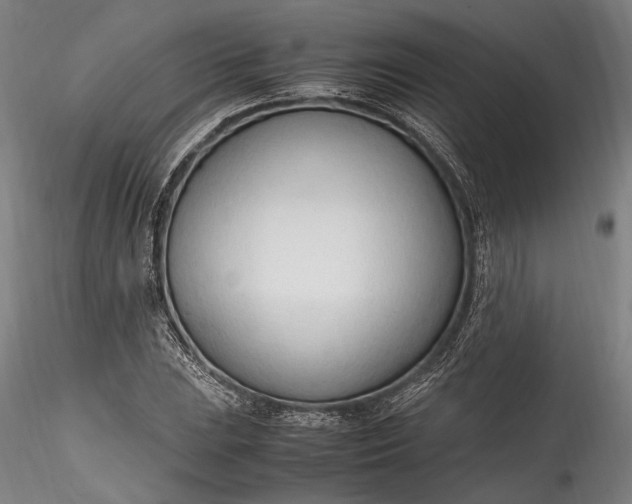 X0000115761023200911271112