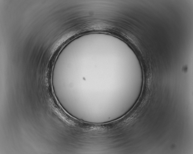 X0000115761026200911271112