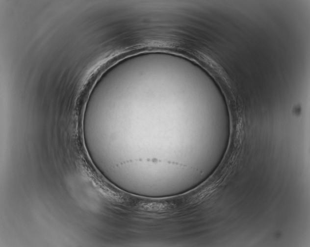 X0000115761027200911271112