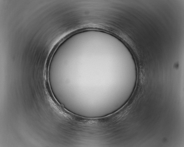 X0000115761028200911271112