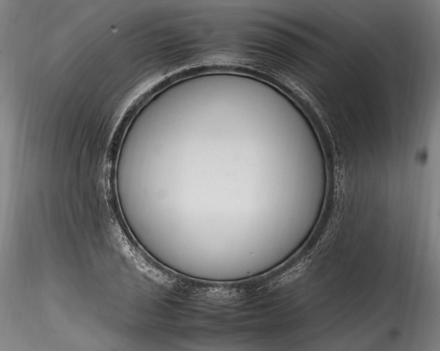 X0000115761029200911271112