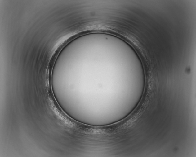 X0000115761030200911271112