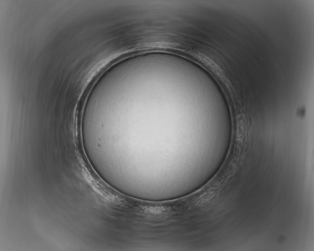 X0000115761031200911271112