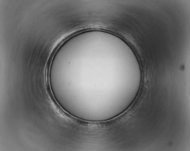 X0000115761032200911271112