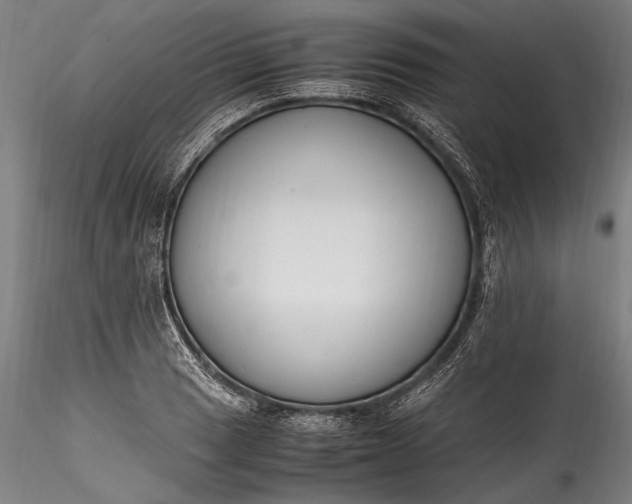 X0000115761033200911271112