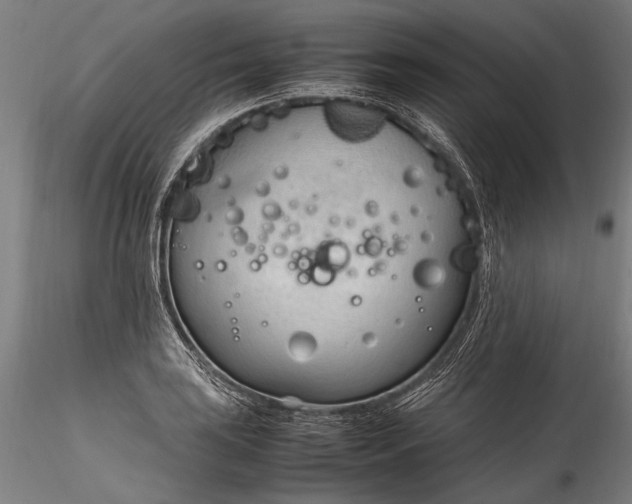 X0000115761035200911271112