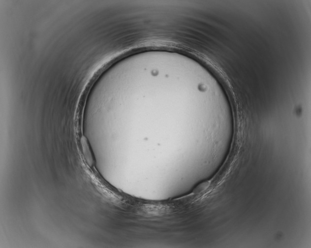 X0000115761037200911271112