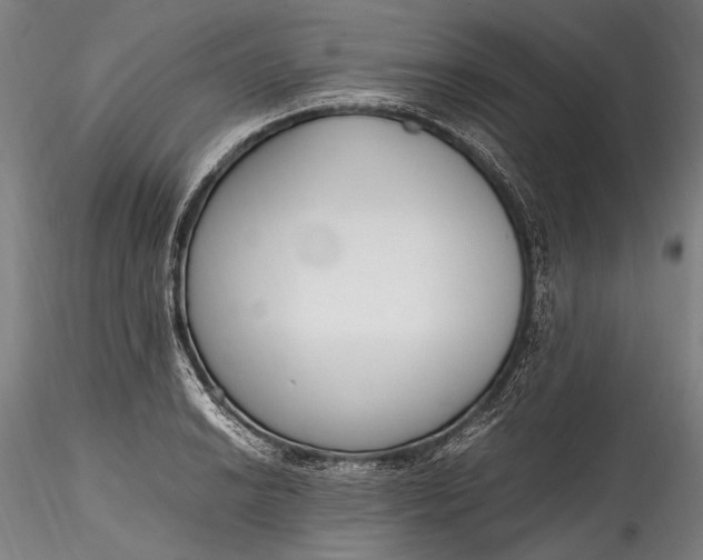 X0000115761038200911271112