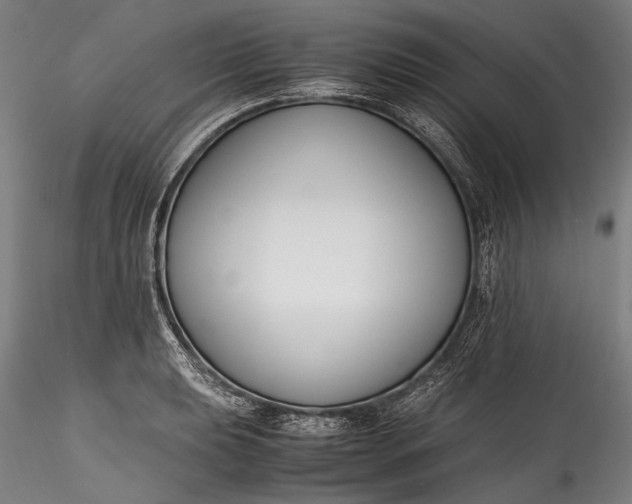 X0000115761039200911271112