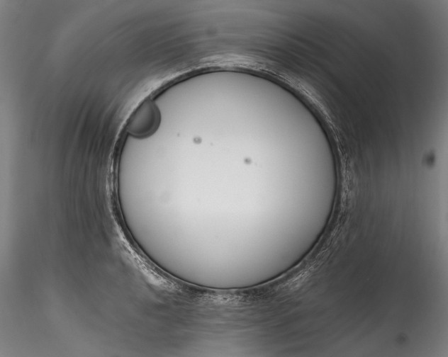 X0000115761040200911271112