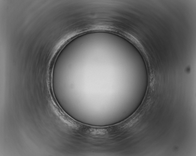 X0000115761043200911271112