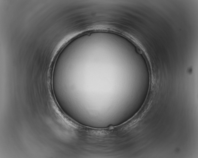 X0000115761045200911271112