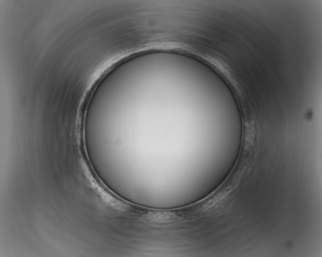 X0000115761046200911271112