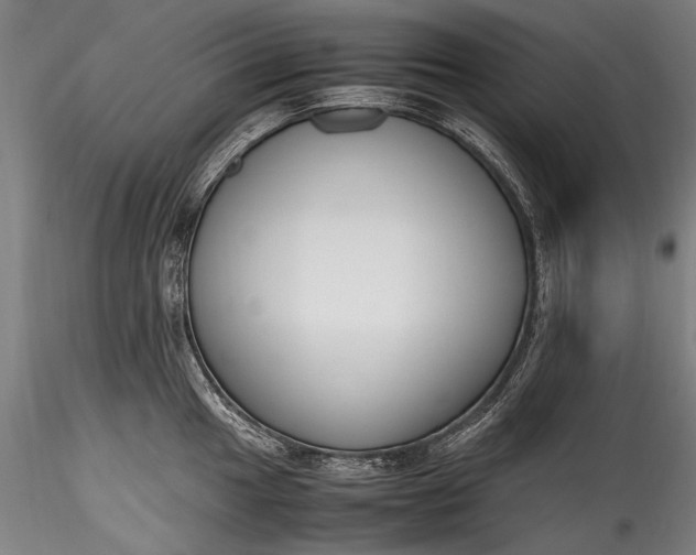 X0000115761049200911271112