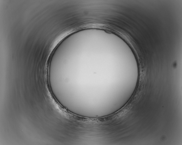 X0000115761050200911271112