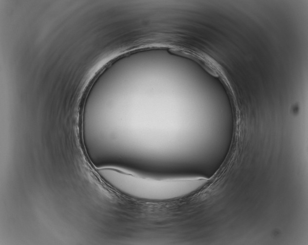 X0000115761051200911271112