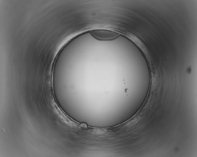 X0000115761052200911271112