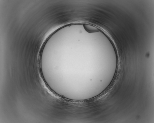 X0000115761053200911271112