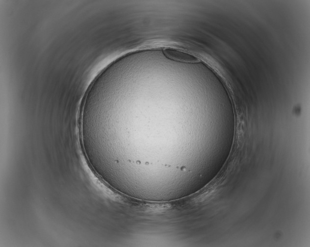 X0000115761055200911271112